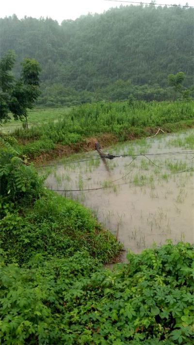 风雨中的守护：安徽长线建设集团公司抗洪救灾(图2)